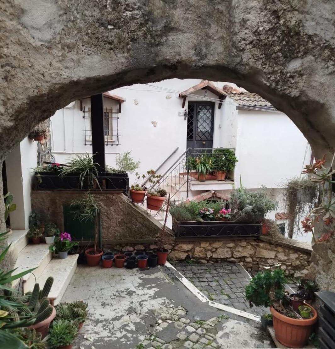 La Casetta Di Joanna Palestrina Exterior photo